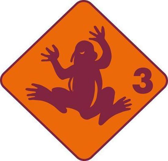 Bild von Kleingruppe Frosch (10 Wiederholungen)