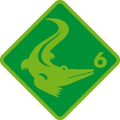 Bild von Kleingruppe Krokodil (10Wiederholungen)